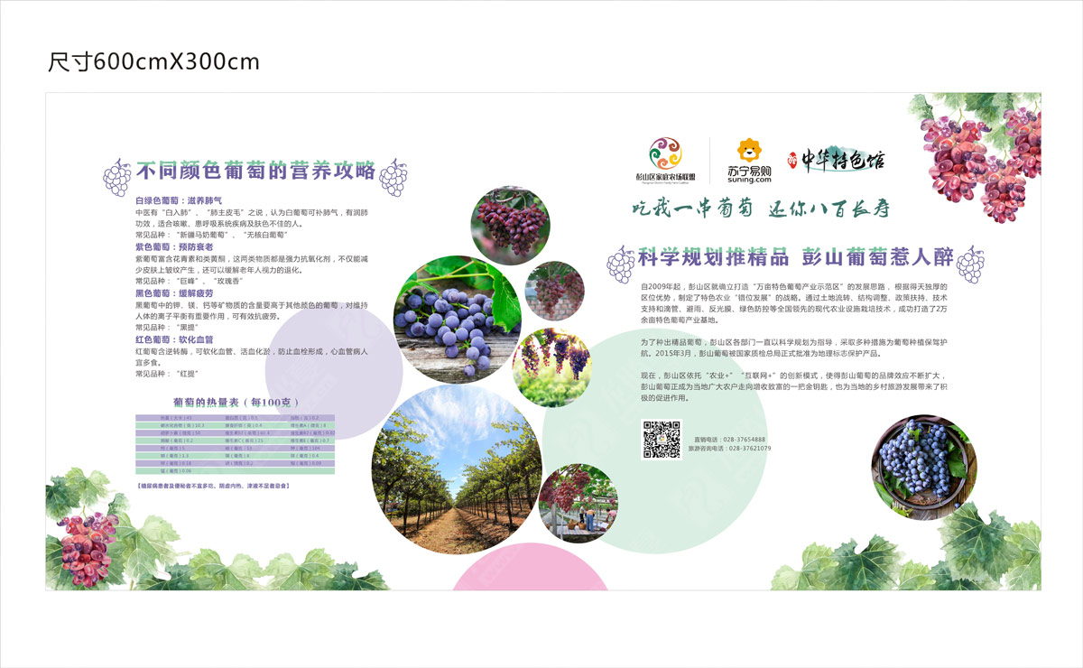 彭山葡萄節(jié)營銷活動策劃