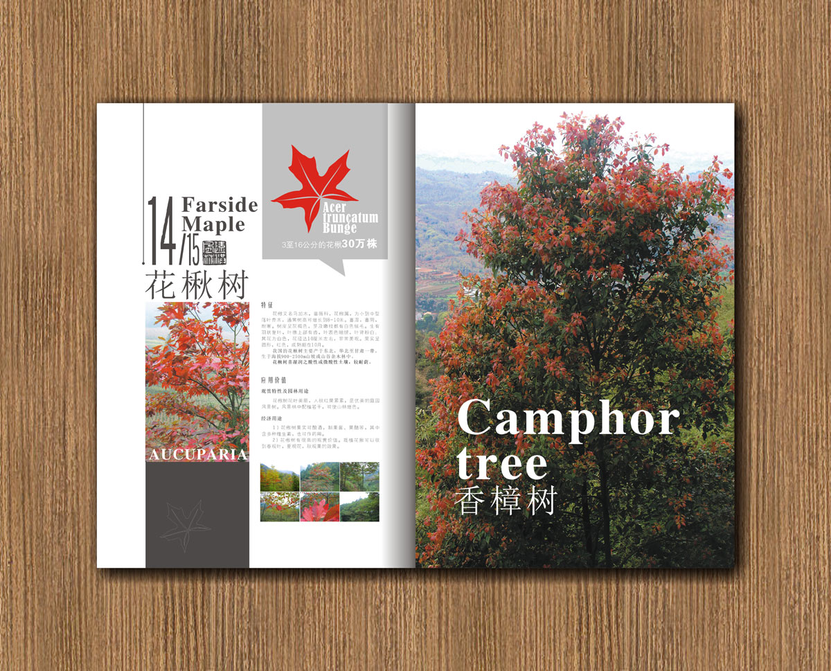 遠紅楓林林業(yè)公司畫冊設計_成都林業(yè)公司宣傳畫冊設計公司