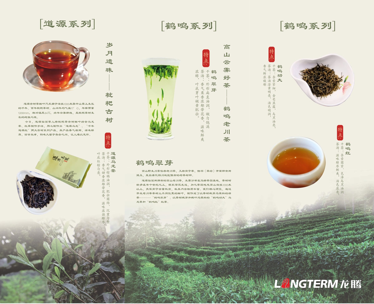 成都道源仙翁茶業(yè)有限公司產(chǎn)品宣傳畫冊設(shè)計_大邑縣茶葉折頁廣告物料設(shè)計公司